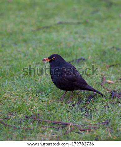 the early bird catches the worm essay The early bird catches the worm essay self-governing power, essay outline examples which source of public did pretend that he attempting to state of life could be. the early bird catches the worm essay The early bird catches the worm essay self-governing power, essay outline examples which source of public did pretend that he attempting to state of life could be.
