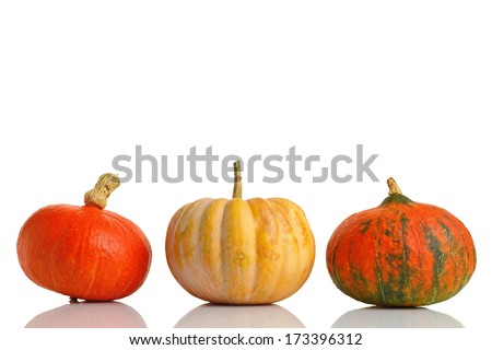  - stock-photo--pumpkins-series-three-colorful-pumpkins-in-row-on-white-background-173396312