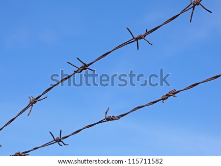 arava border control arava border control