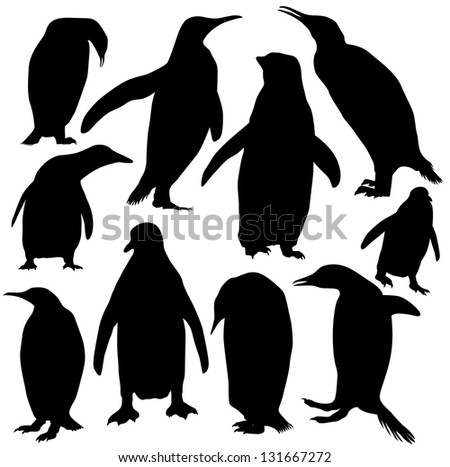 Penguin Stock Photos, Images, & Pictures | Shutterstock