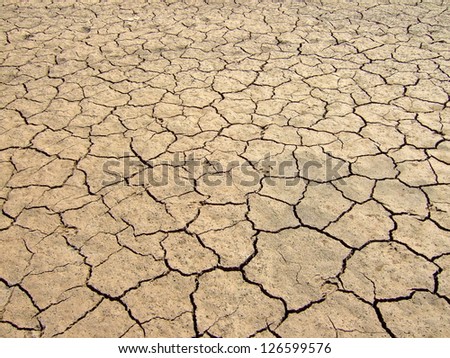 Crack In Ethiopian Desert