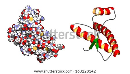 Protein Molecule Stock Photos, Images, & Pictures | Shutterstock