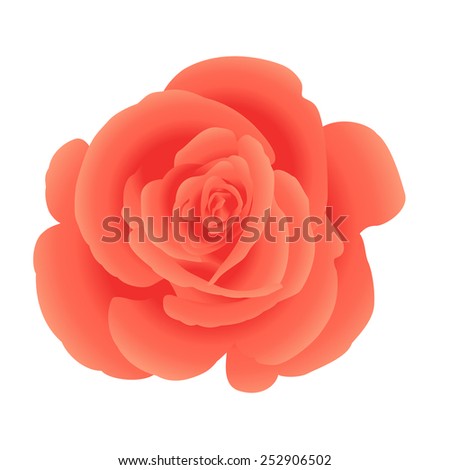 Coral Flower Background Stock Photos, Images, & Pictures | Shutterstock