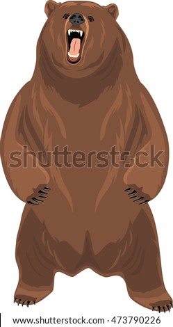 Grizzly Stock Photos, Royalty-Free Images & Vectors - Shutterstock