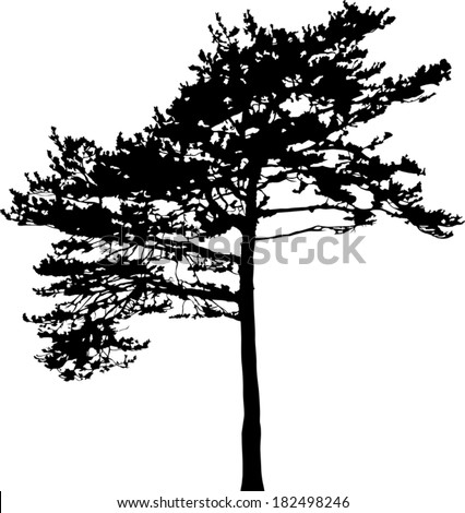 Tree Silhouette Stock Illustration 9822220 - Shutterstock