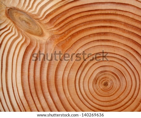 Asian Fir Wood 106