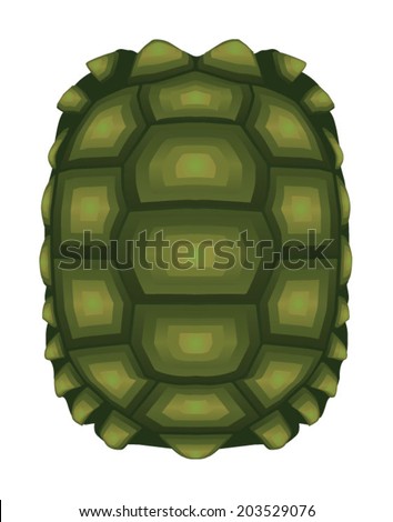 Cartoon Turtle clip art Free Vector / 4Vector