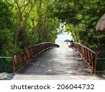 wooden bridge in green forest...