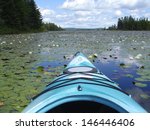 water lily lake from kayak in...