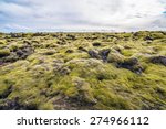 moss covered lava field...