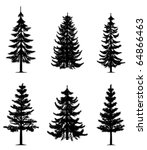 pine trees collection  vector 
