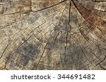 old tree stump texture...