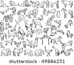 Outline Animals Vectors