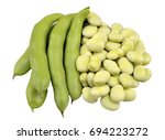 Small photo of Freshly picked broad beans, variety Witkiem Manita, Vicia Faba also known as field beans, fava, bell, horse, windsor, pigeon and tic beans. Isolated on white background.