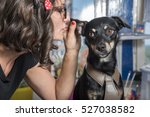 Small photo of Dog whisperer, puppy gossip; young retro woman whispering things into little cute dog's ear