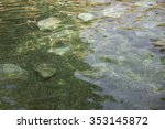 green thermal water in the...