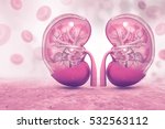 Human Kidneys Free Stock Photo - Public Domain Pictures
