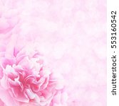 Pink Flowers Background Free Stock Photo Public Domain Pictures