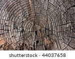 texture of old wood with annual ...
