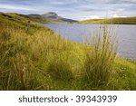 tussock at loch fada with old...