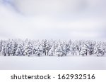 peaceful winter landscape