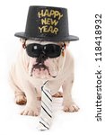  - stock-photo-happy-new-year-bulldog-wearing-sunglasses-hat-and-tie-118418932