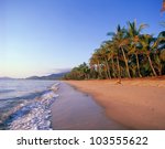 palm cove  cairns  north...