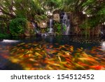 koi fish in pond at the garden...