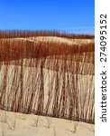 sand dunes conservation area...