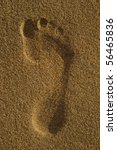 single footprint in the sand of ...