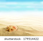 shell and starfish on sandy...