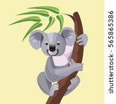 grey koala bear isolated on...