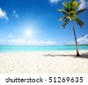 صور شواطىء وبحار  Stock-photo-sea-and-coconut-palm-51269635