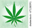 stock vector : Vector illustration of Cannabis / Marijuana / Hemp - detailed leaf.