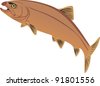 Red Fish Vector