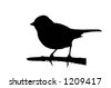 Modern Bird Silhouette