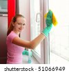 Lady Cleaning Windows