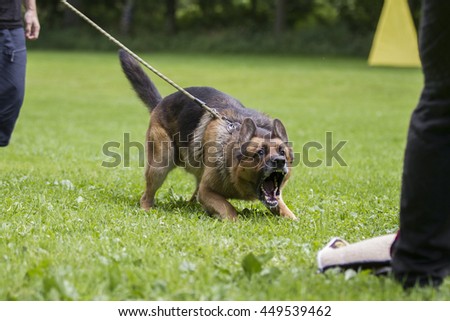 Angry Cop Stock Photos, Images, & Pictures | Shutterstock