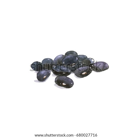 Black beans. Watercolor painting, isolated on white background.