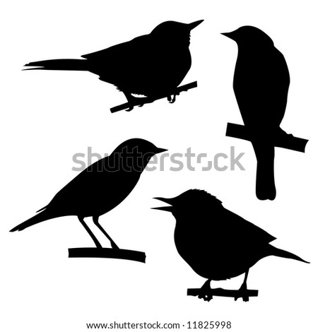 Vector Drawing Two Birds Sitting On Stock Vector 35456692 - Shutterstock