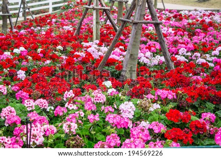 Planter Box Stock Photos, Royalty-Free Images &amp; Vectors - Shutterstock