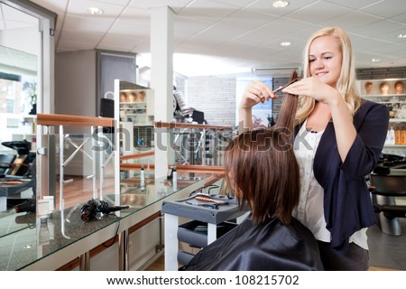 Hairdresser cutting client's hair in beauty salon.