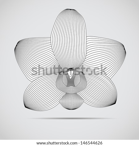 Vector orchid flower. Illustration for your design.