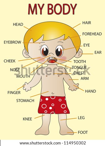 Vocabulary Worksheet Parts Body Stock Vector 104517467 - Shutterstock