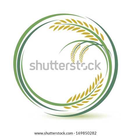 Rice design on white background