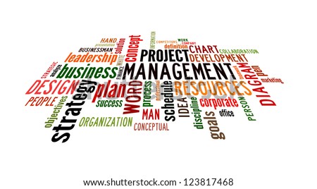 info text graphic project management word stock project organization chart definition