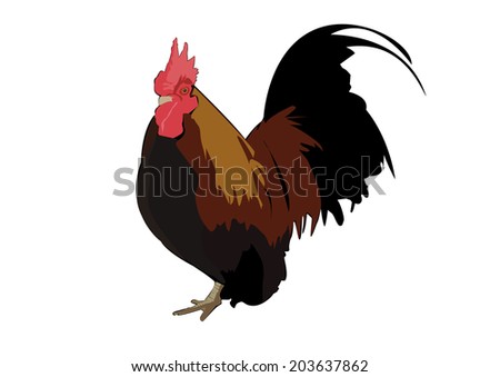 Vector Illustration Chicken Red Black White Stock Vector 50529940