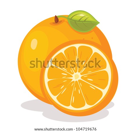 Orange vector illustration