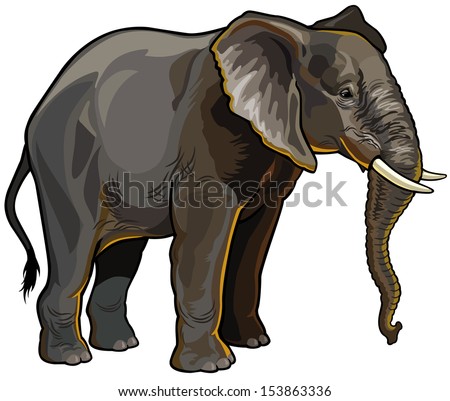 Cartoon Elephant Silhouette Elephant Collected Geometric Stock Vector ...