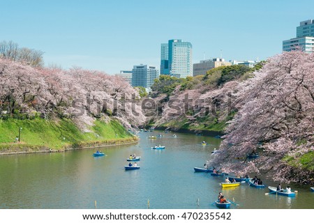 stock-photo-tokyo-japan-mar-cherry-bloss